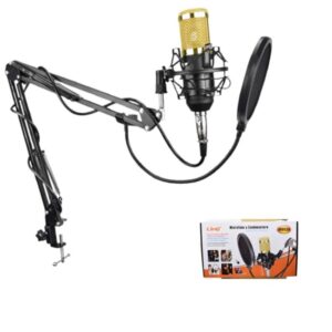 Microphone professionel (M8028)
